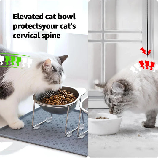 Elevated cat bowl tilted design reduces neck strain in cats
